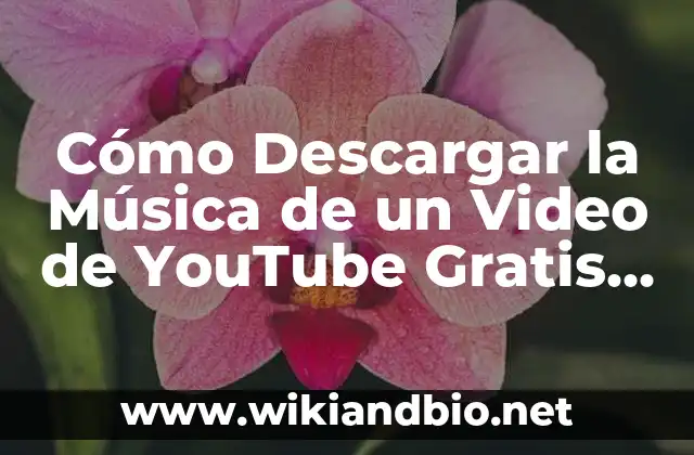 Cómo Descargar la Música de un Video de YouTube Gratis y Seguro