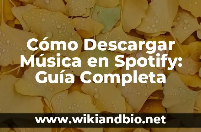 ¿Por qué Descargar Música en Spotify es Importante?