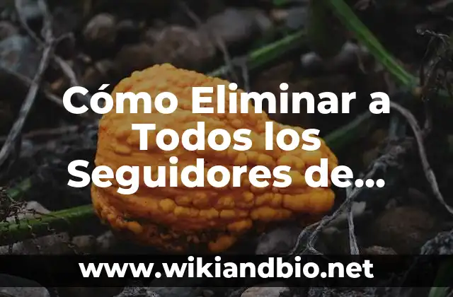 Cómo Eliminar a Todos los Seguidores de TikTok de una Vez