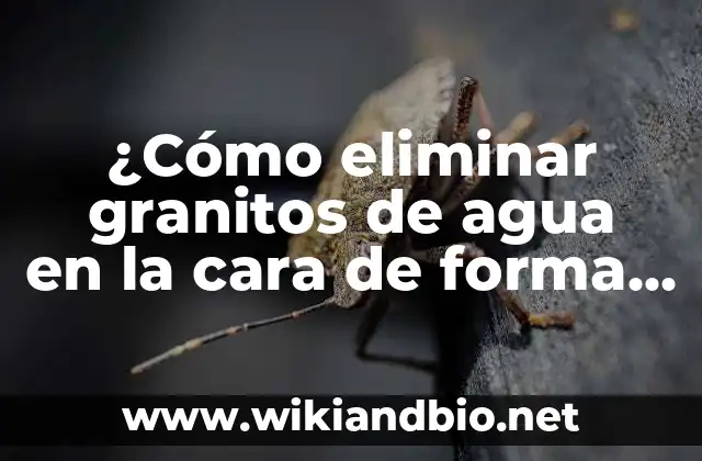 Causas de los granitos de agua en la cara