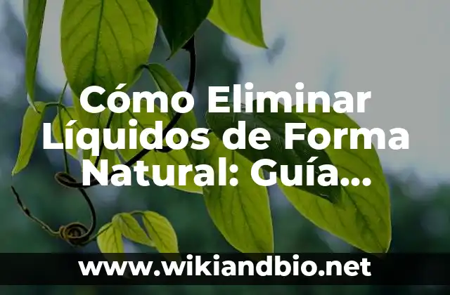Cómo Eliminar Líquidos de Forma Natural: Guía Completa para una Salud Mejorada
