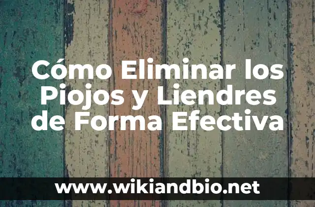 Cómo Eliminar los Piojos y Liendres de Forma Efectiva