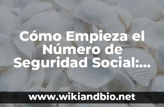 ¿Qué es el Número de Seguridad Social?