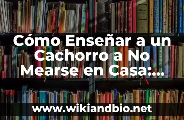 Cómo Enseñar a un Cachorro a No Mearse en Casa: Guía Definitiva