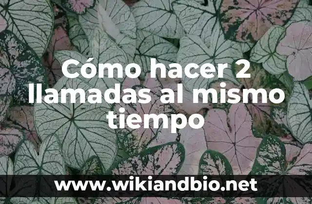 Cómo hacer 2 llamadas al mismo tiempo