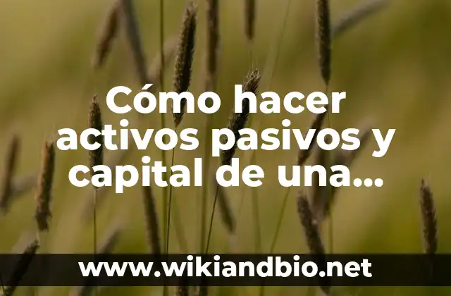 Cómo hacer activos pasivos y capital de una empresa