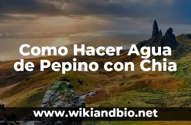 Agua de Pepino con Chia: Qué es y para Qué Sirve