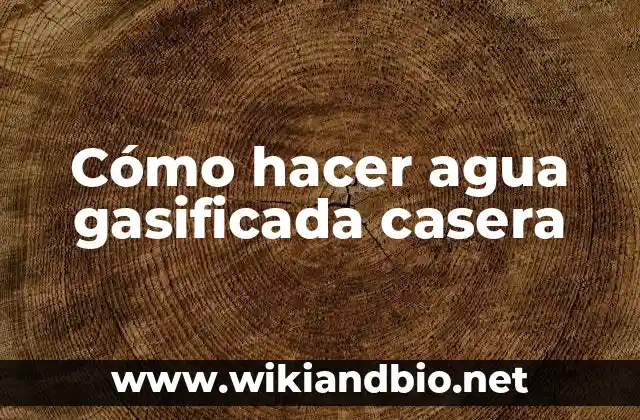Cómo hacer agua gasificada casera