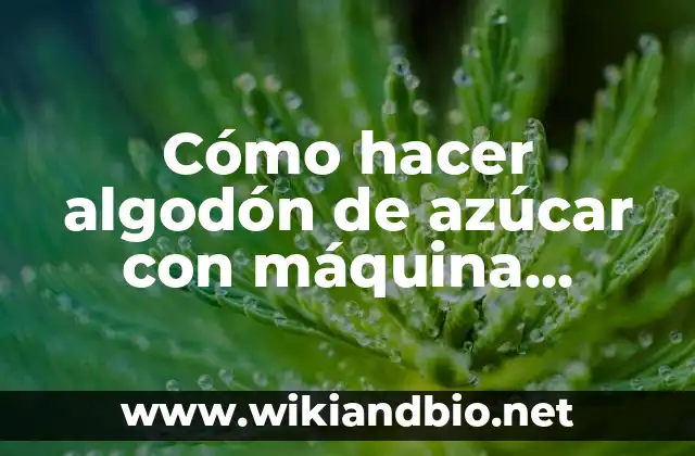 Cómo hacer algodón de azúcar con máquina cotton candy