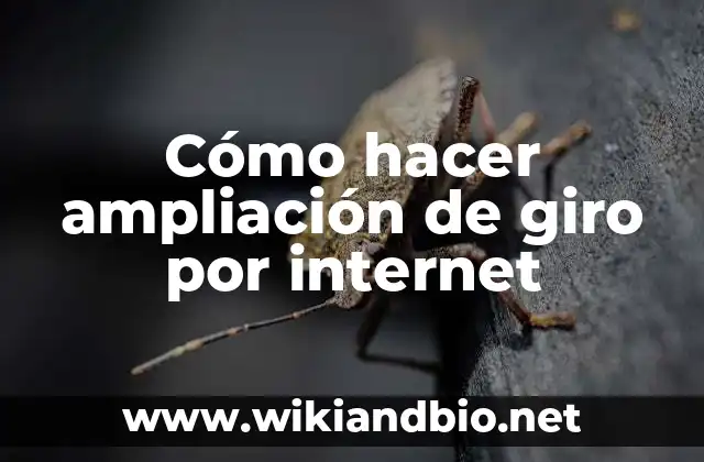 Cómo hacer ampliación de giro por internet