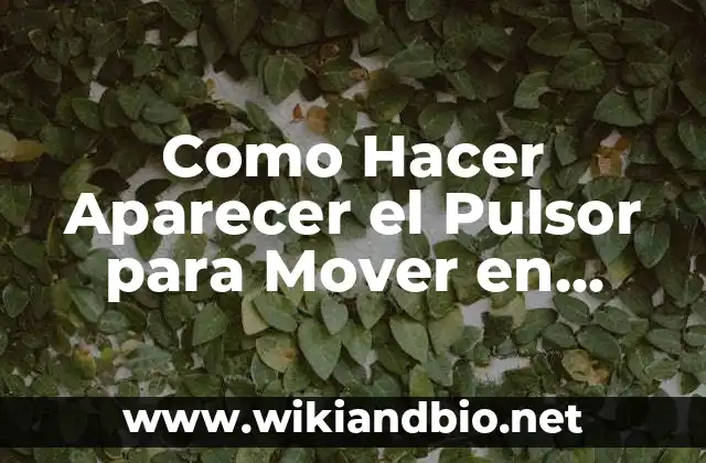 Como Hacer Aparecer el Pulsor para Mover en Autocad