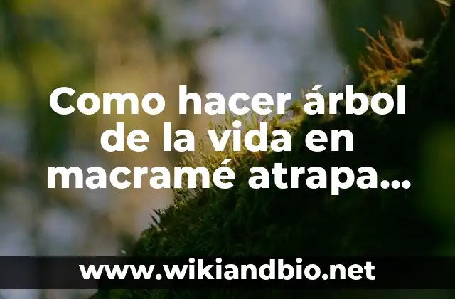 Como hacer árbol de la vida en macramé atrapa sueños