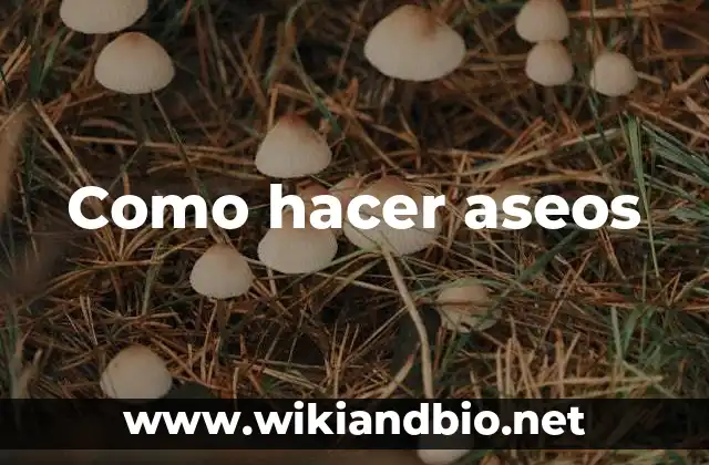Como hacer aseos