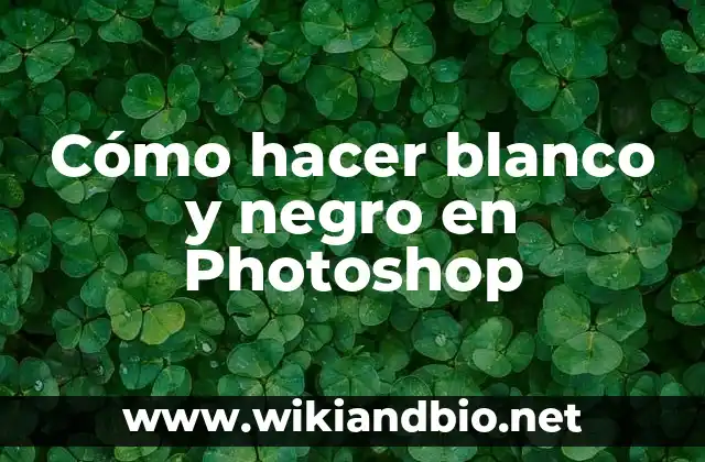Cómo hacer blanco y negro en Photoshop