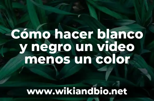 Desaturación de un video