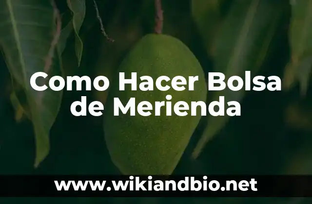 Como Hacer Bolsa de Merienda