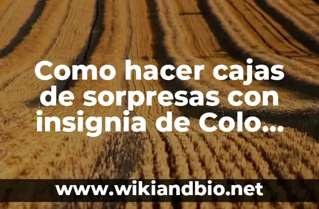¿Qué son cajas de sorpresas con insignia de Colo Colo?