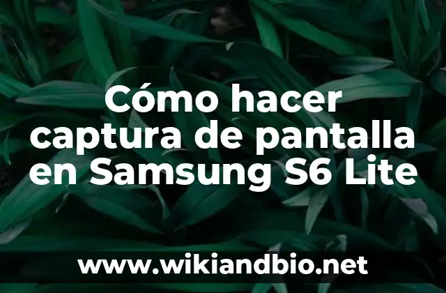 Cómo hacer captura de pantalla en Samsung S6 Lite