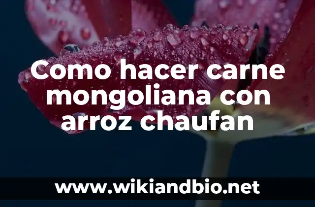 Como hacer carne mongoliana con arroz chaufan
