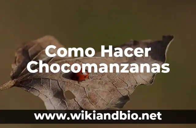 Como Hacer Chocomanzanas