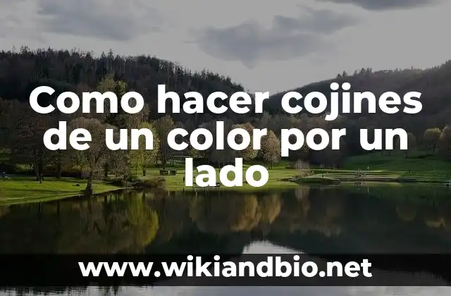Como hacer cojines de un color por un lado