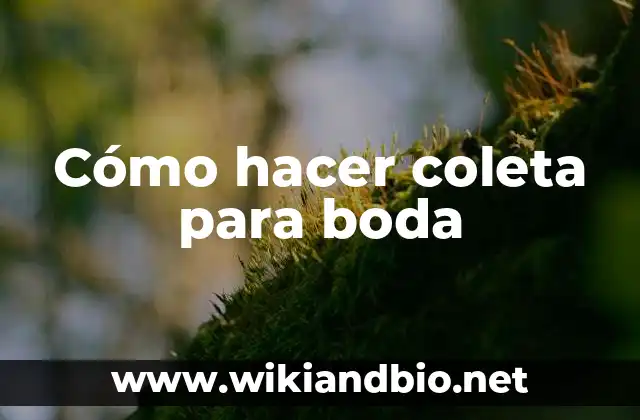 Cómo hacer coleta para boda