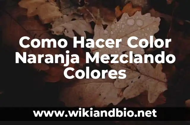 ¿Qué es el Color Naranja y Cómo se Logra Mezclando Colores?