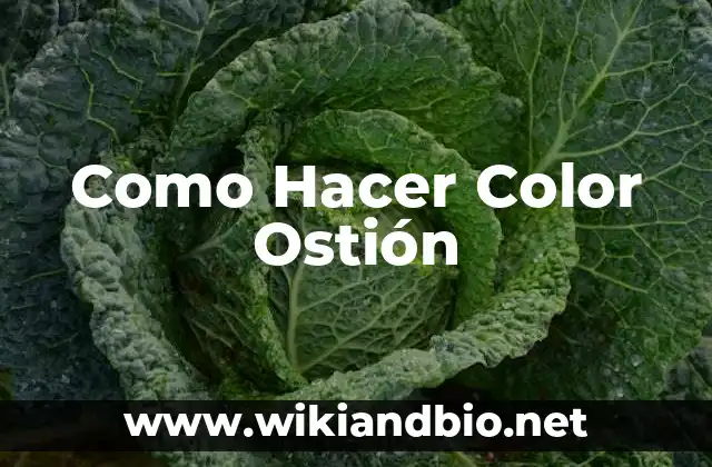 Como Hacer Color Ostión