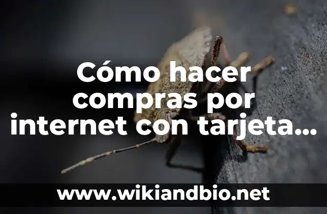 Cómo hacer compras por internet con tarjeta de crédito