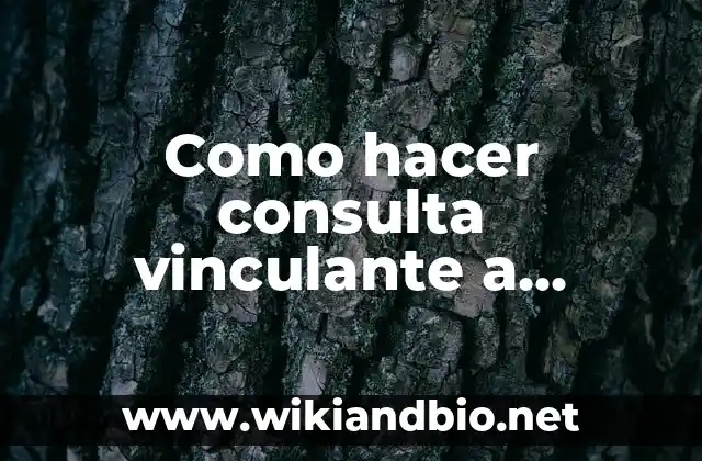 Como hacer consulta vinculante a hacienda