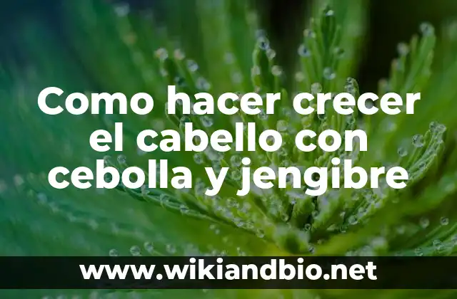 Como hacer crecer el cabello con cebolla y jengibre