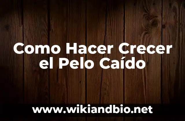 Como Hacer Crecer el Pelo Caído