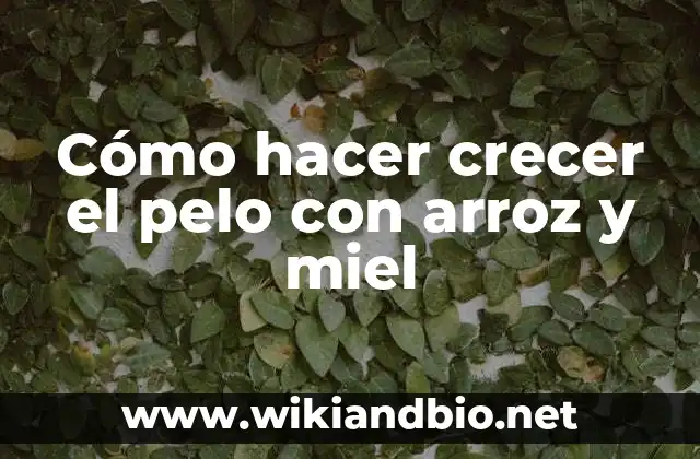 Cómo hacer crecer el pelo con arroz y miel