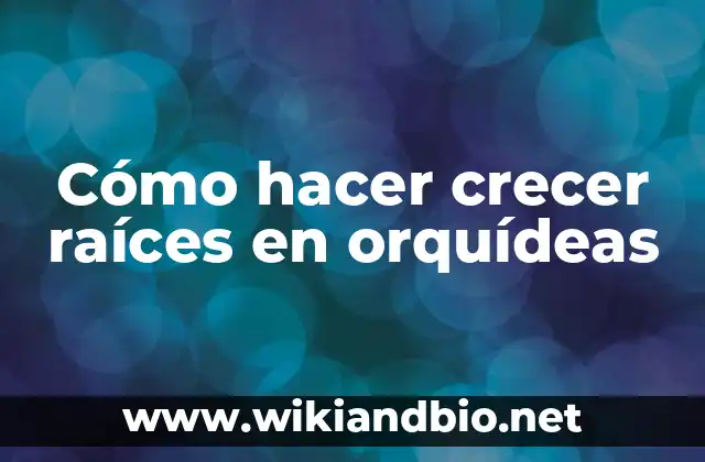 Cómo hacer crecer raíces en orquídeas