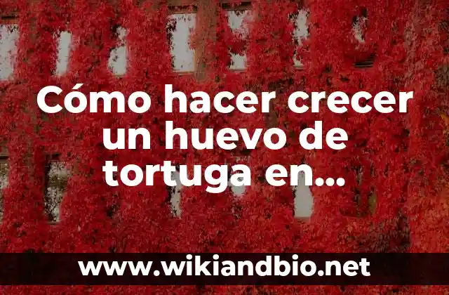 Cómo hacer crecer un huevo de tortuga en Minecraft