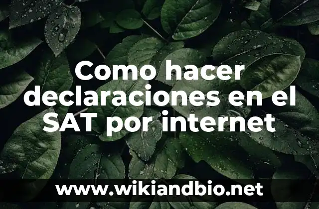 Como hacer declaraciones en el SAT por internet