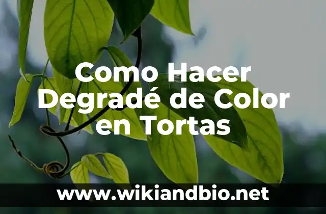 ¿Qué es el Degradé de Color en Tortas?