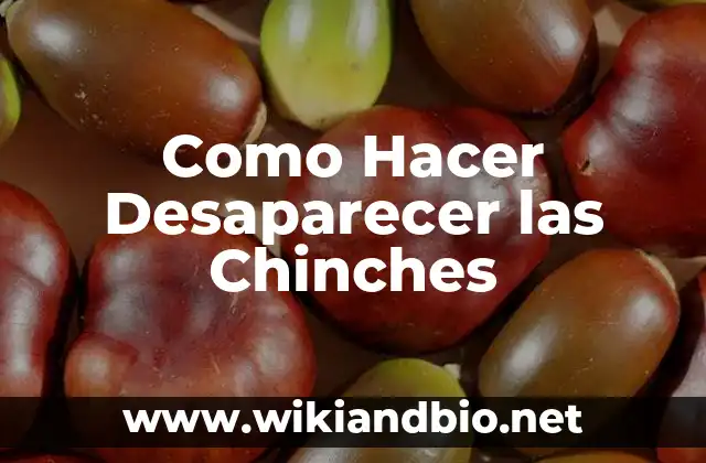 Como Hacer Desaparecer las Chinches