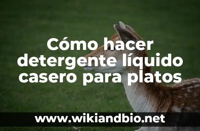 Cómo hacer detergente líquido casero para platos
