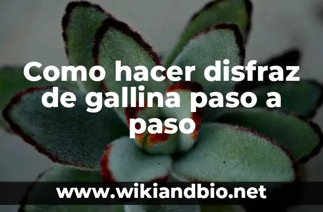 Como hacer disfraz de gallina paso a paso