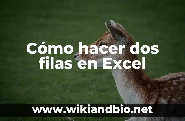 Cómo hacer dos filas en Excel