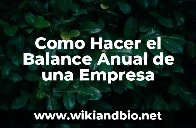 Como Hacer el Balance Anual de una Empresa