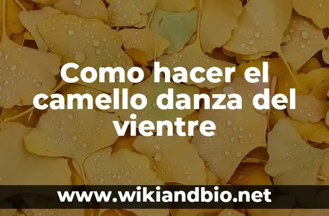 Como hacer el camello danza del vientre