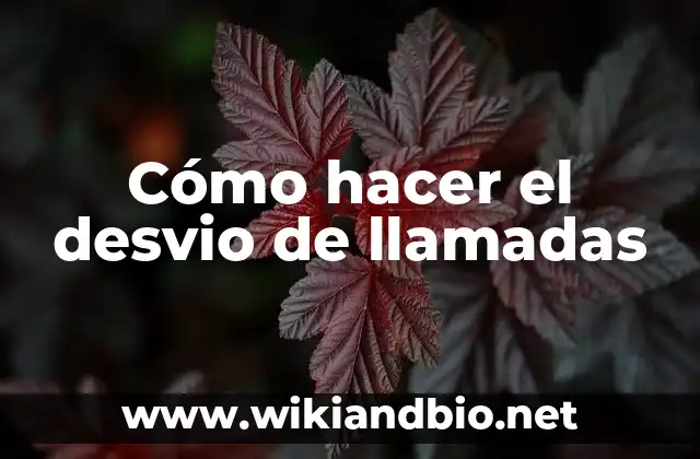 Cómo hacer el desvio de llamadas