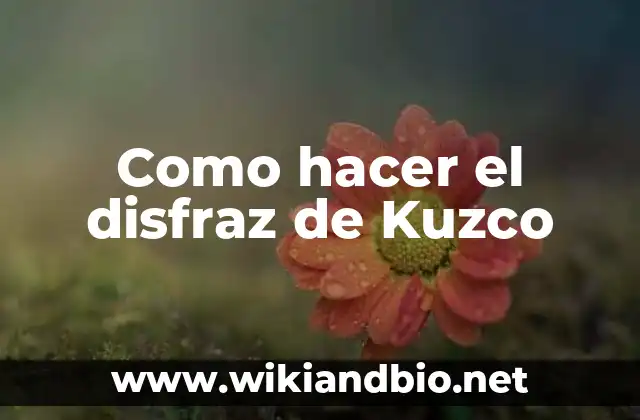 Como hacer el disfraz de Kuzco
