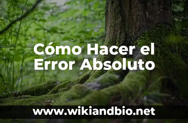 Cómo Hacer el Error Absoluto