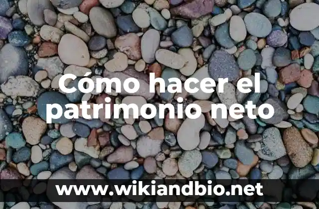 ¿Qué es el patrimonio neto?