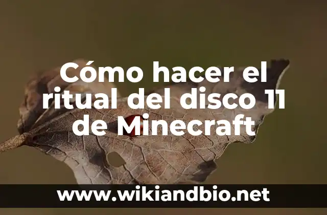¿Qué es el ritual del disco 11 de Minecraft?