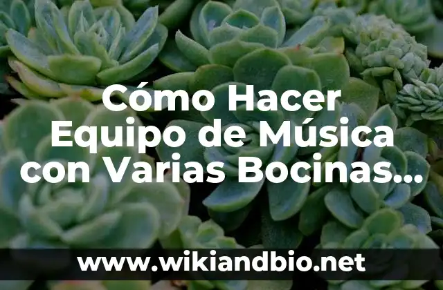 Cómo Hacer Equipo de Música con Varias Bocinas Pequeñas