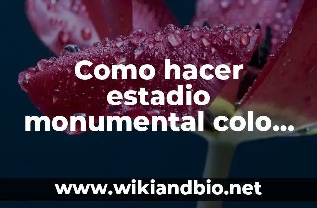 Como hacer estadio monumental colo colo los planos y diseños
